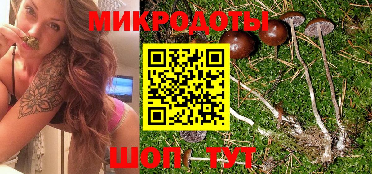 Галлюциногенные грибы ЛСД  Псилоцибиновые грибы мухоморы  Вход с VPN  Новозыбков 