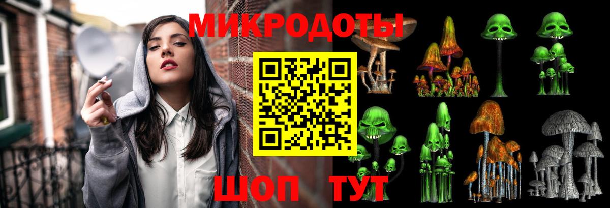 Псилоцибиновые грибы Psilocybine cubensis Новозыбков